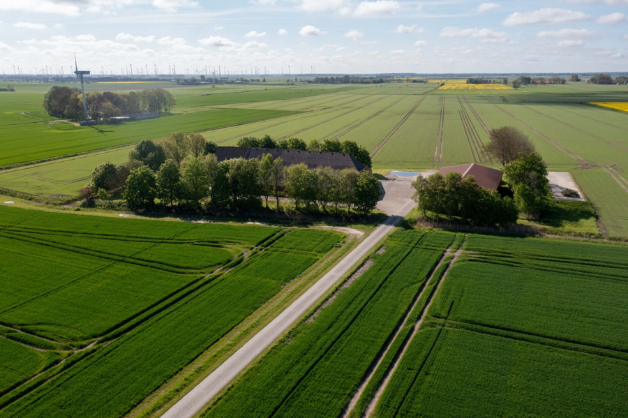 Zufahrt zum Hof - Gulfhof mit viel Platz und die Nordsee vor der Haustür