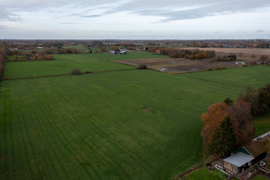 Ansicht - Grünland in Neuschoo